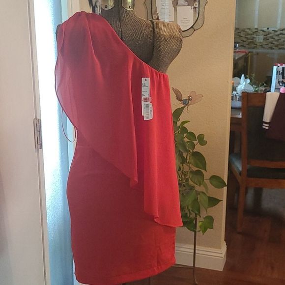 Gianni Bini Dress - Picture 4 of 16